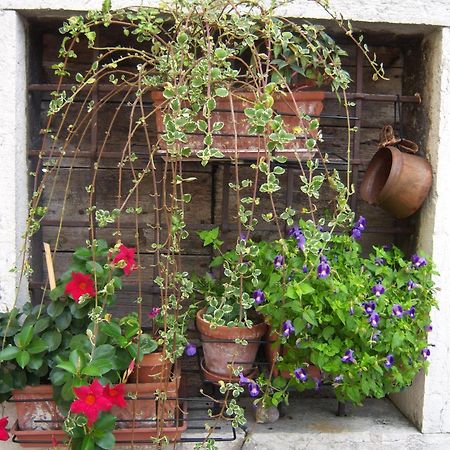 B&B Corte Barbieri Dolce Экстерьер фото